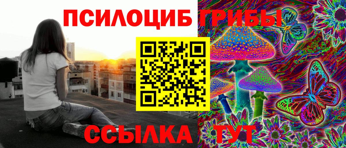 Псилоцибиновые грибы Psilocybe Казань
