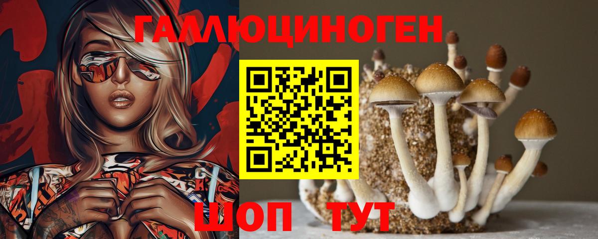 Псилоцибиновые грибы мицелий  Галлюциногенные грибы Psilocybe  Вход с VPN  Казань 